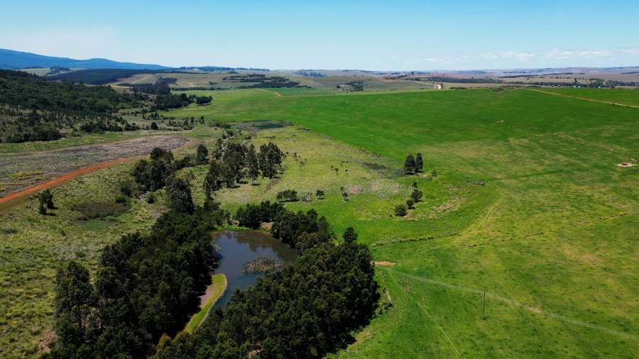 0 Bedroom Property for Sale in Stutterheim Rural Eastern Cape